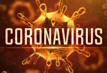 coronavirus cina virus pandemia